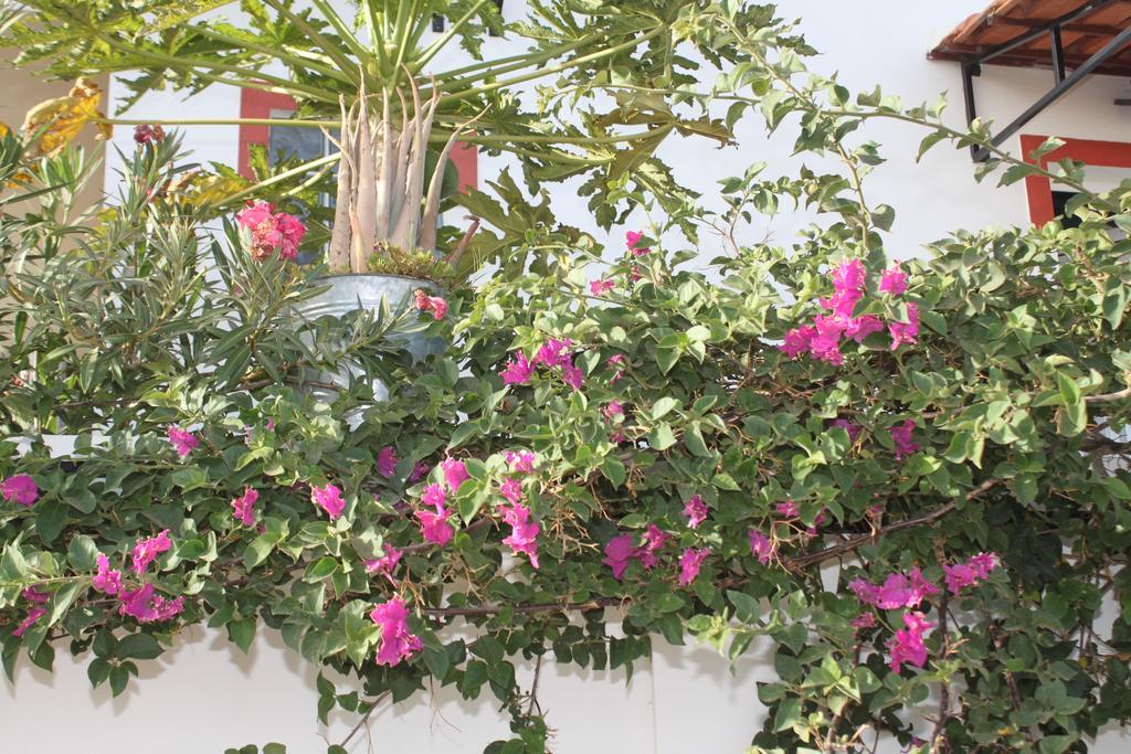 Yria Residencial Bed and Breakfast Porto Novo Eksteriør billede