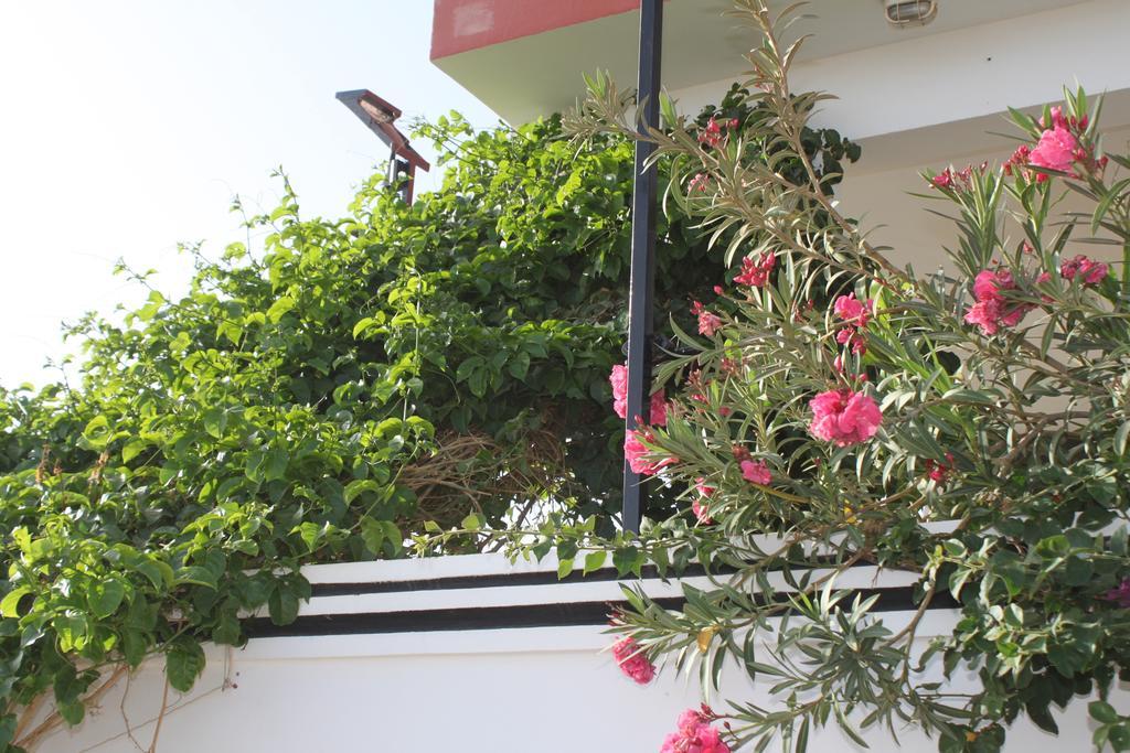 Yria Residencial Bed and Breakfast Porto Novo Eksteriør billede